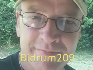 Bidrum209