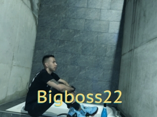Bigboss22