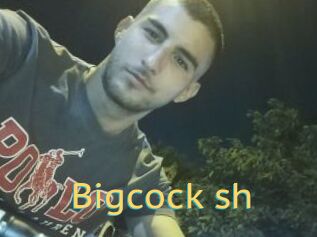 Bigcock_sh