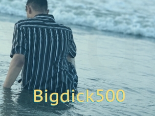 Bigdick500