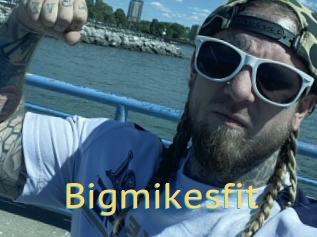 Bigmikesfit