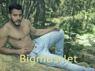 Bigmusclet