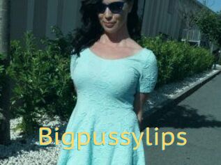 Bigpussylips