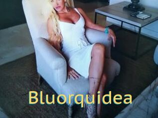 Bluorquidea