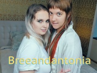 Breeandantonia