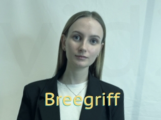 Breegriff