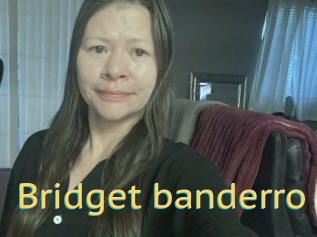 Bridget_banderro