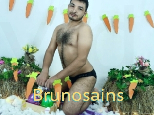 Brunosains