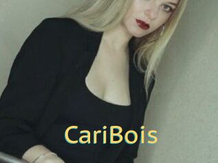 CariBois