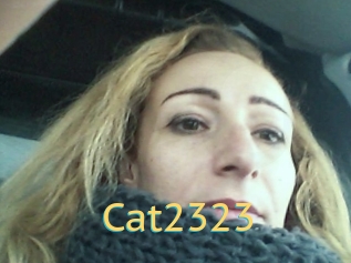 Cat2323
