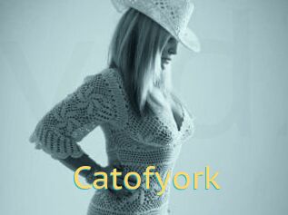 Catofyork