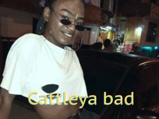 Cattleya_bad