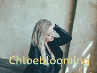 Chloeblooming