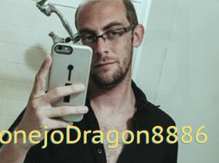 ConejoDragon8886