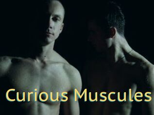 Curious_Muscules