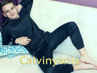 Calvinyanis