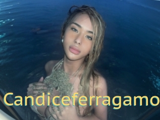 Candiceferragamo