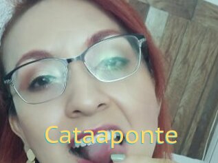 Cataaponte