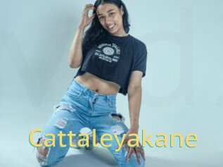 cattaleyakane Videos 2 X