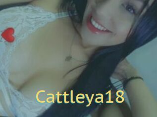 Cattleya18