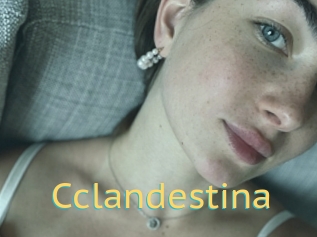 Cclandestina