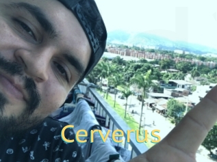 Cerverus