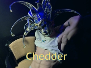 Chedder