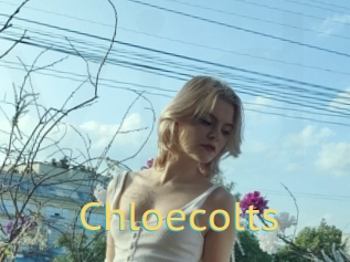 Chloecolts