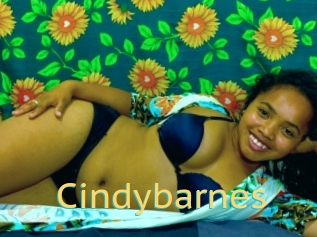 Cindybarnes