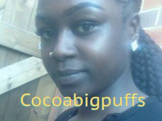 Cocoabigpuffs