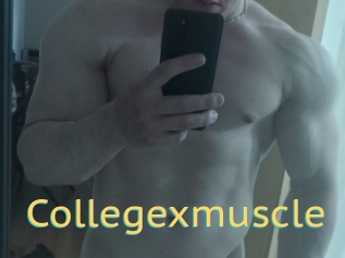 Collegexmuscle