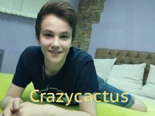 Crazycactus