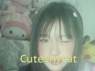 Cuteshycat