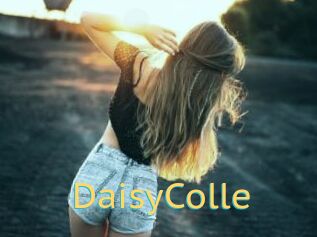 DaisyColle