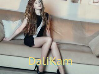 DaliKam