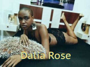 Dalia_Rose