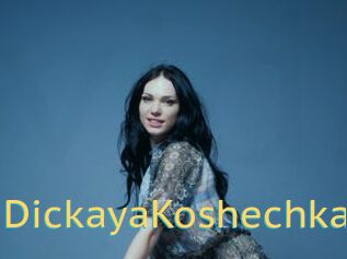 DickayaKoshechka