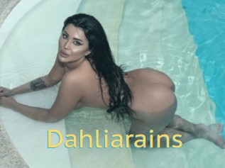 Dahliarains