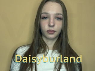 Daisyburland