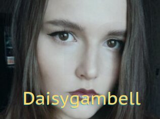 Daisygambell