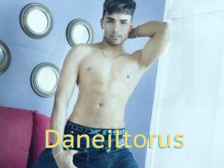 Daneil_torus