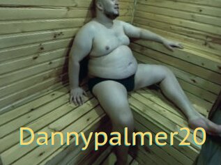 Dannypalmer20