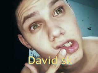 David_sk