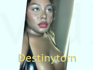 Destinytorn