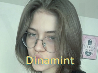 Dinamint