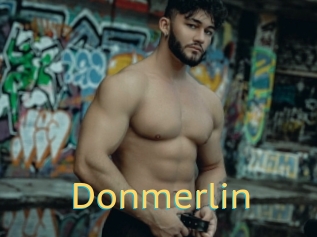 Donmerlin