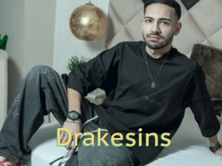 Drakesins