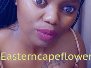 Easterncapeflower