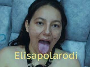 Elisapolarodi