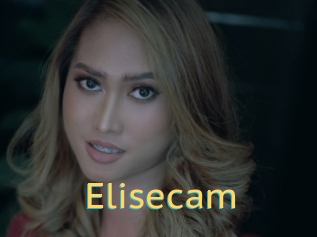 Elisecam